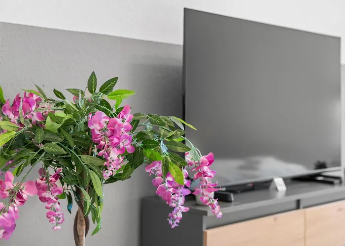 High-quality, Comfortable, Fully Equipped, 6 Beds 뒤스부르크